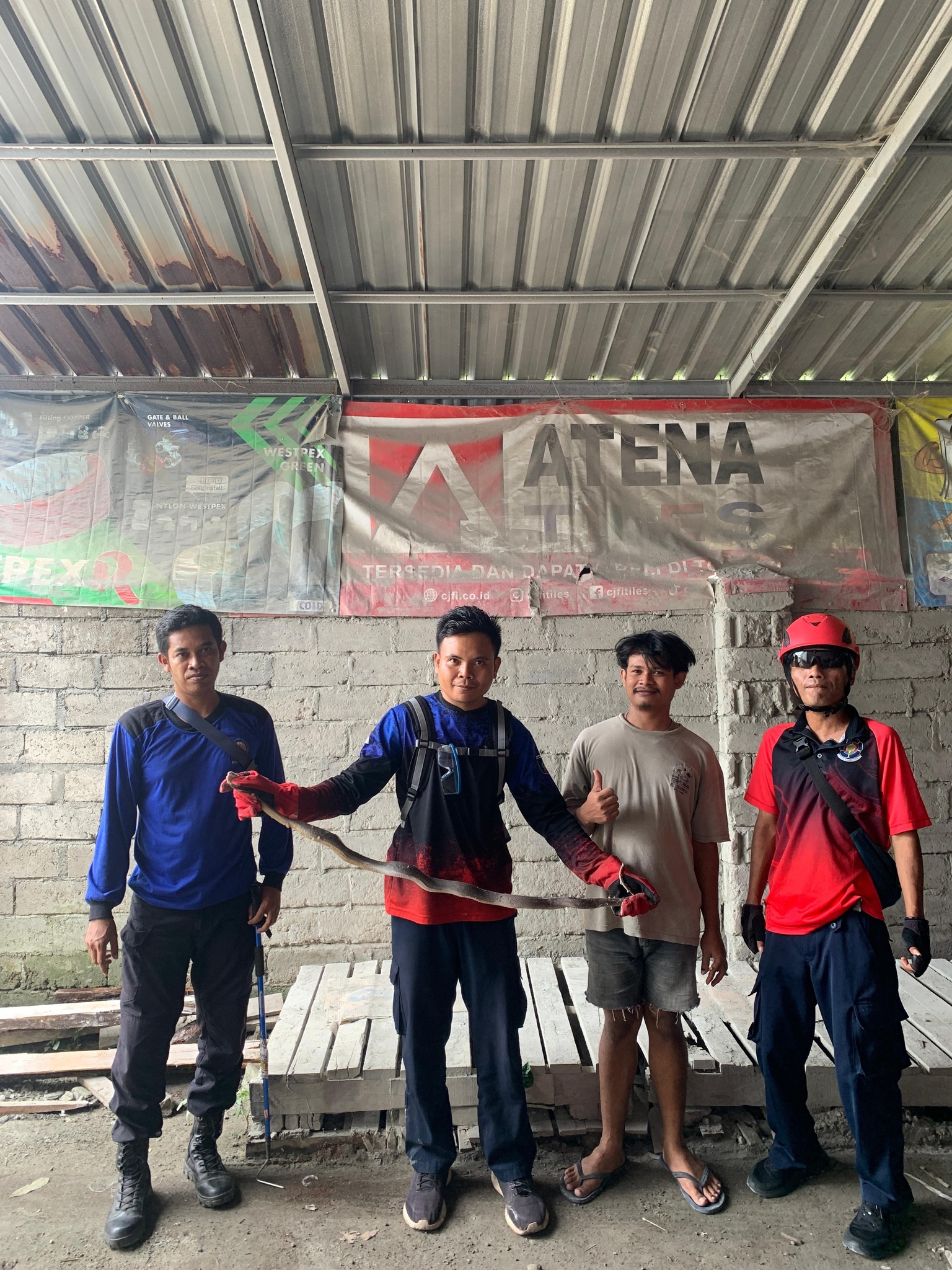 EVAKUASI ULAR DI PENGENJEK, TIM DAMKARTAN LOMBOK TENGAH GERAK CEPAT AMANKAN LOKASI